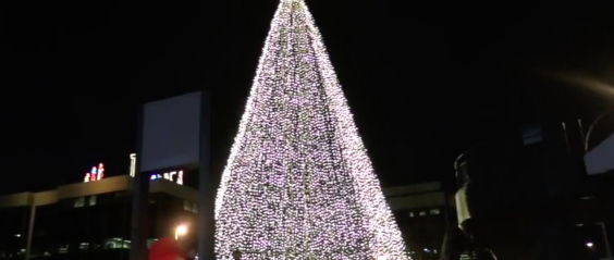 A symbol of inspiration - Tree of Hope is back for another year